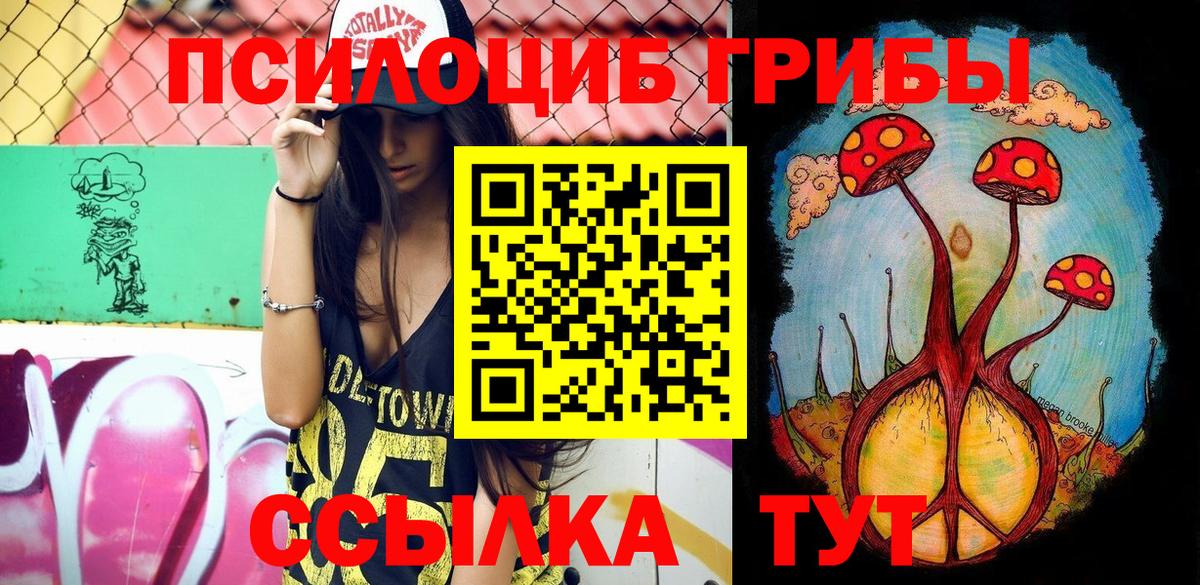 Галлюциногенные грибы прущие грибы Россия